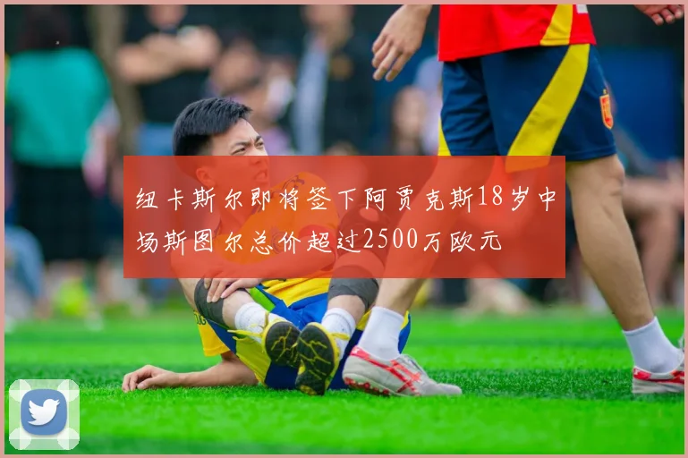 纽卡斯尔即将签下阿贾克斯18岁中场斯图尔总价超过2500万欧元